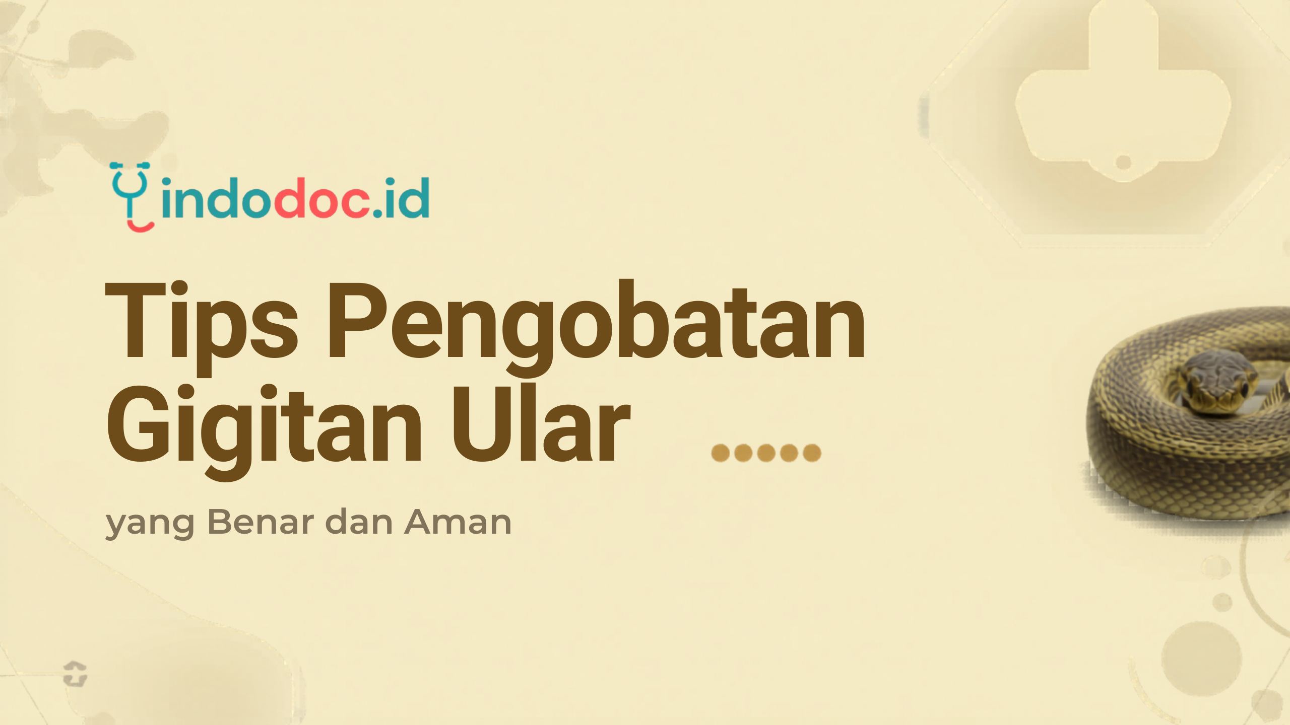 Tips Pengobatan Gigitan Ular yang Benar dan Aman | Indodoc.id